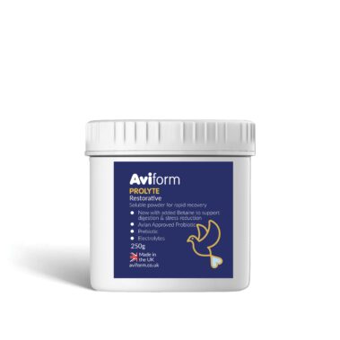 Racing Pigeon Post Race Restorative Supplement