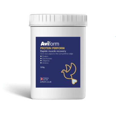 Protein Perform Powder Supplement for Racing Pigeons