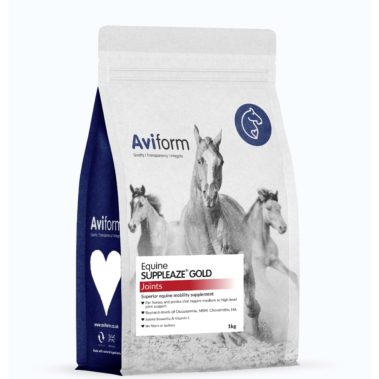 Suppleaze Gold Horse Joint Supplement