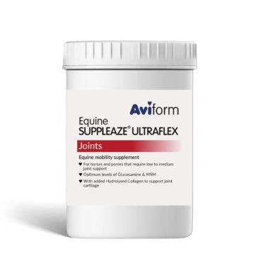 Suppleaze Ultraflex horse joint supplement Pot